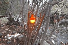 Light Lantern - LED Bulb - Cambium Camping